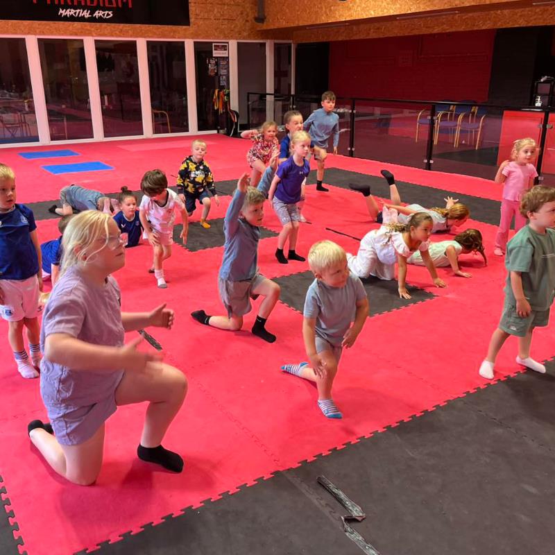 PARADIGM MARTIAL ARTS