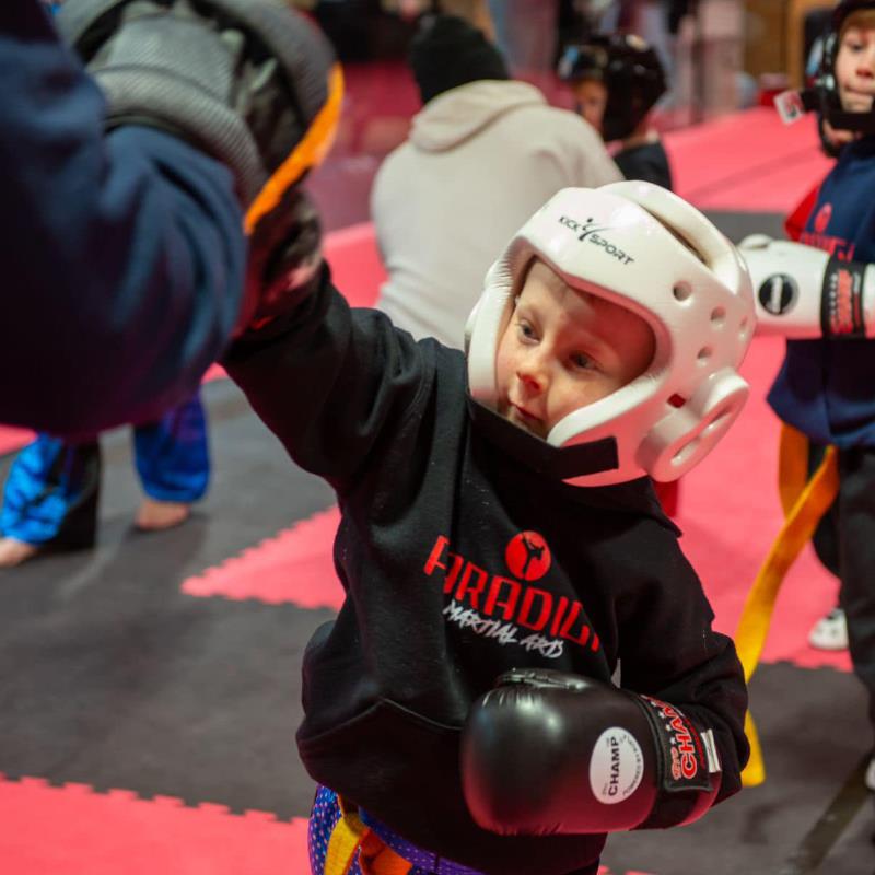 PARADIGM MARTIAL ARTS