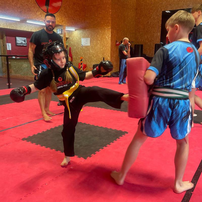 PARADIGM MARTIAL ARTS