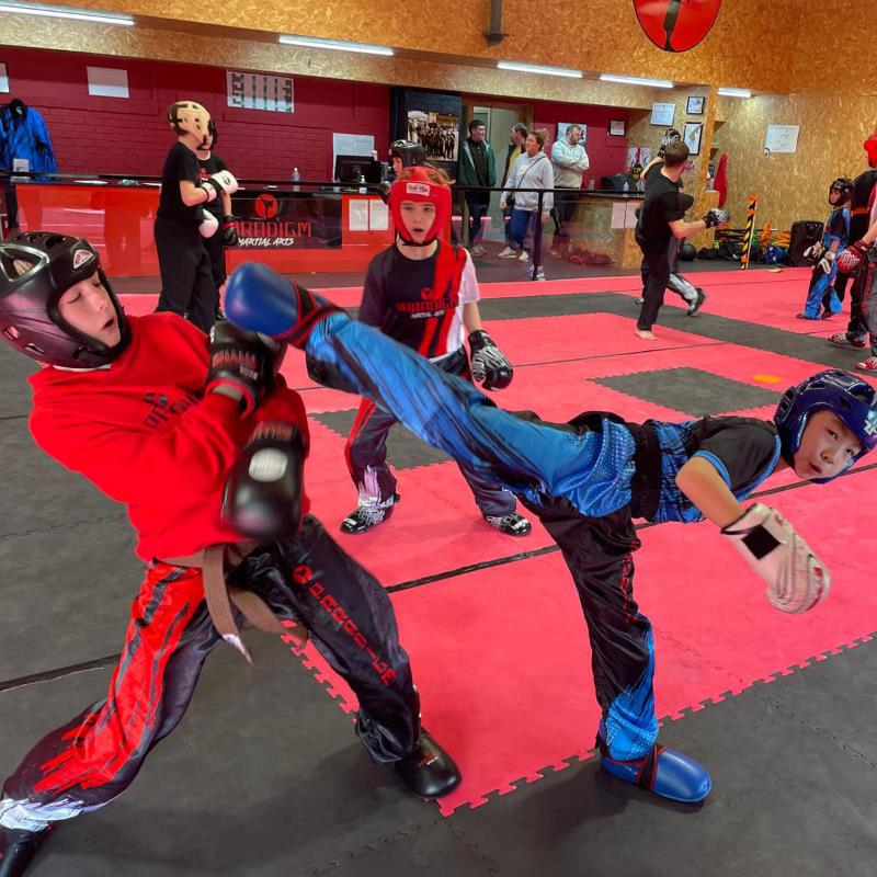 PARADIGM MARTIAL ARTS