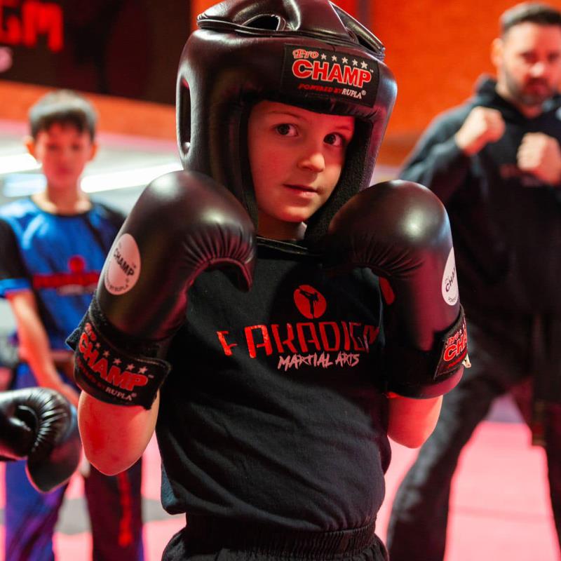 PARADIGM MARTIAL ARTS
