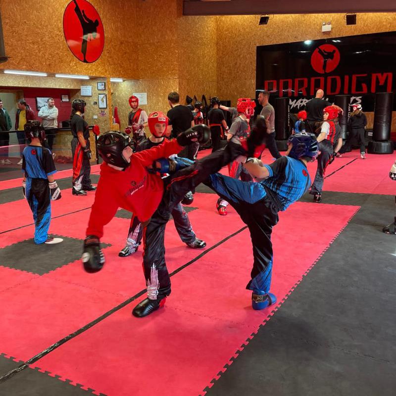 PARADIGM MARTIAL ARTS